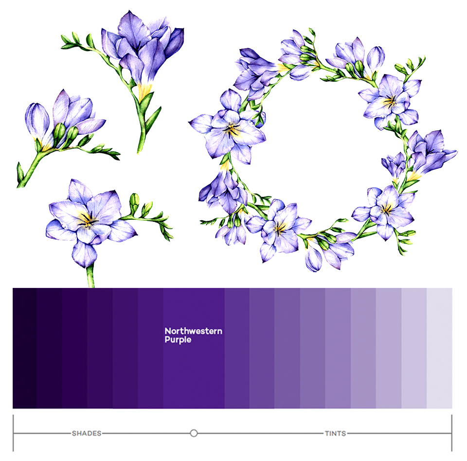 The Pantone Color for 2018 - The future is purple
